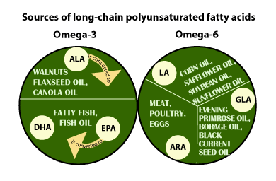 Sources of PUFA